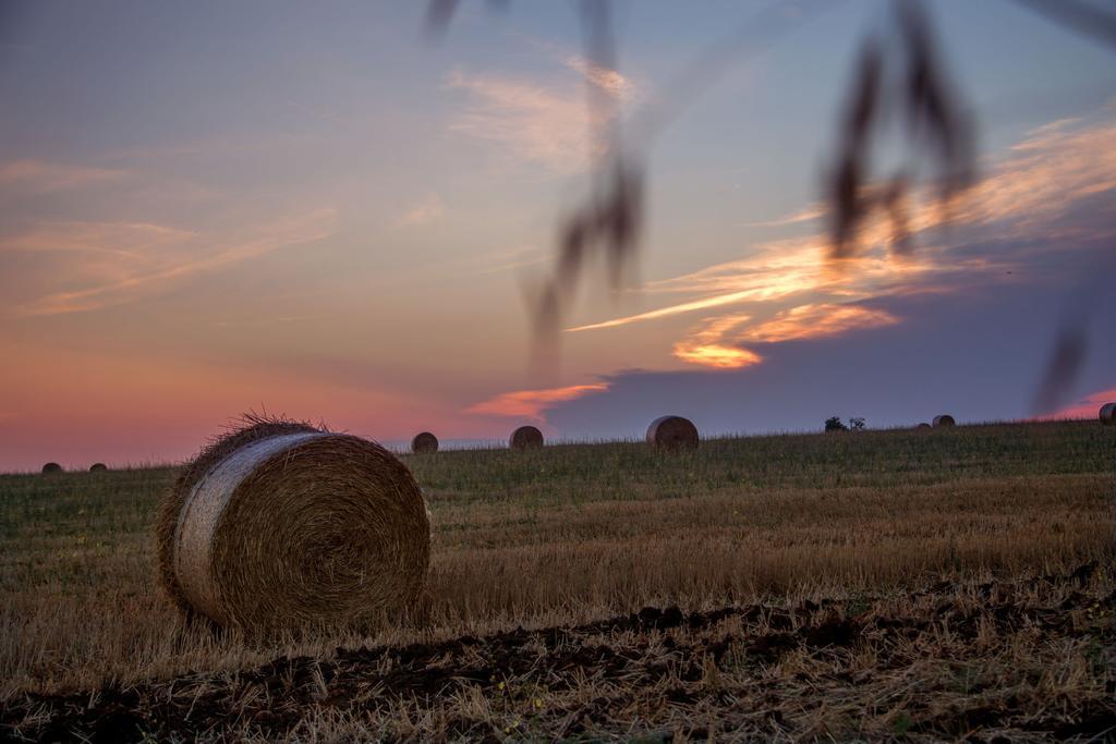 Vila Agriturismo 4 Ricci Cerveteri Exteriér fotografie